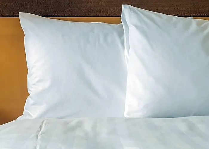Crowne Plaza Convention Center By Ihg 4* Springfield